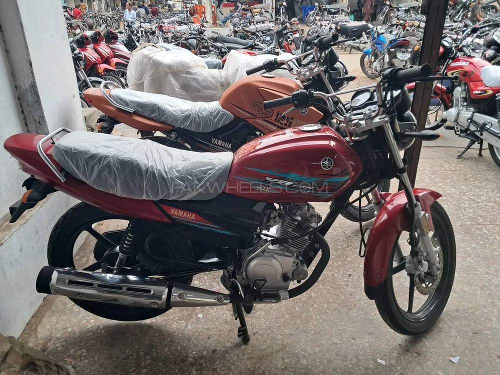 Yamaha YB 125Z-DX 2024 for Sale Image-1