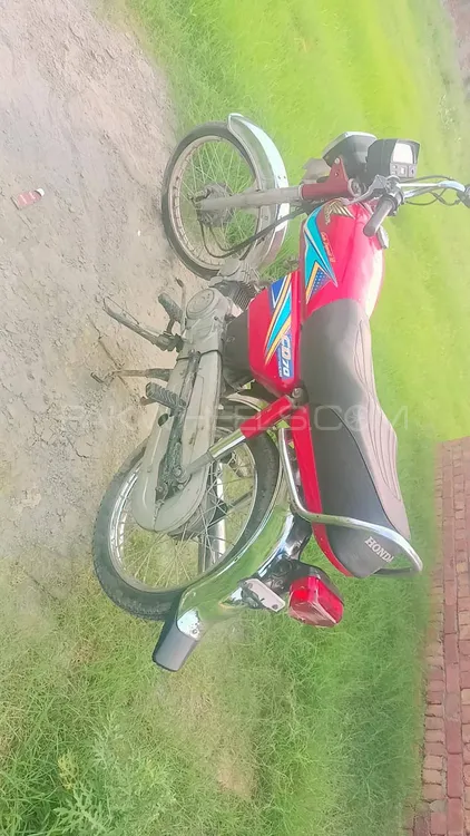 Honda CD 70 2019 for Sale Image-1
