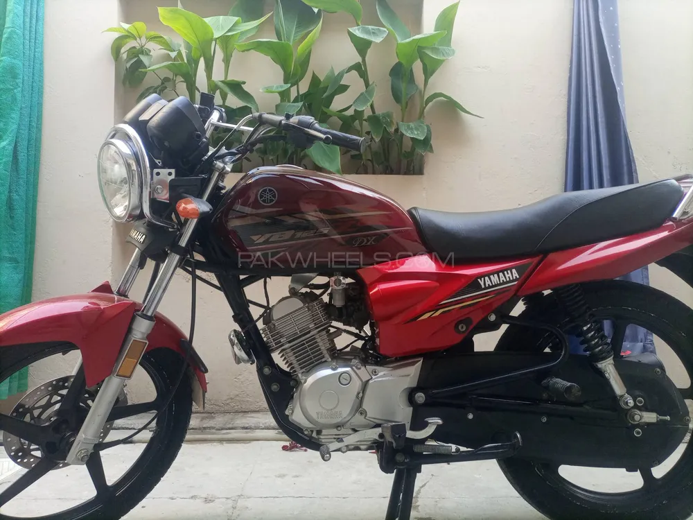 Yamaha YB 125Z-DX 2022 for Sale Image-1