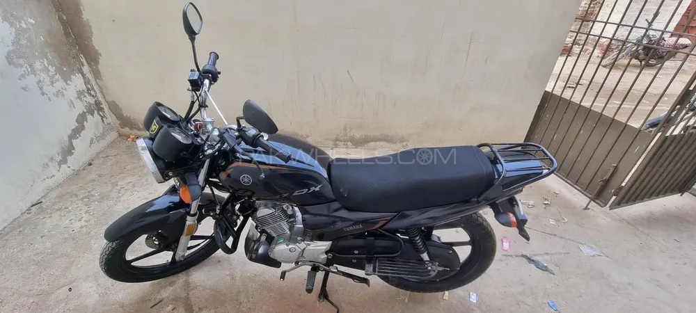 Yamaha YB 125Z-DX 2024 for Sale Image-1