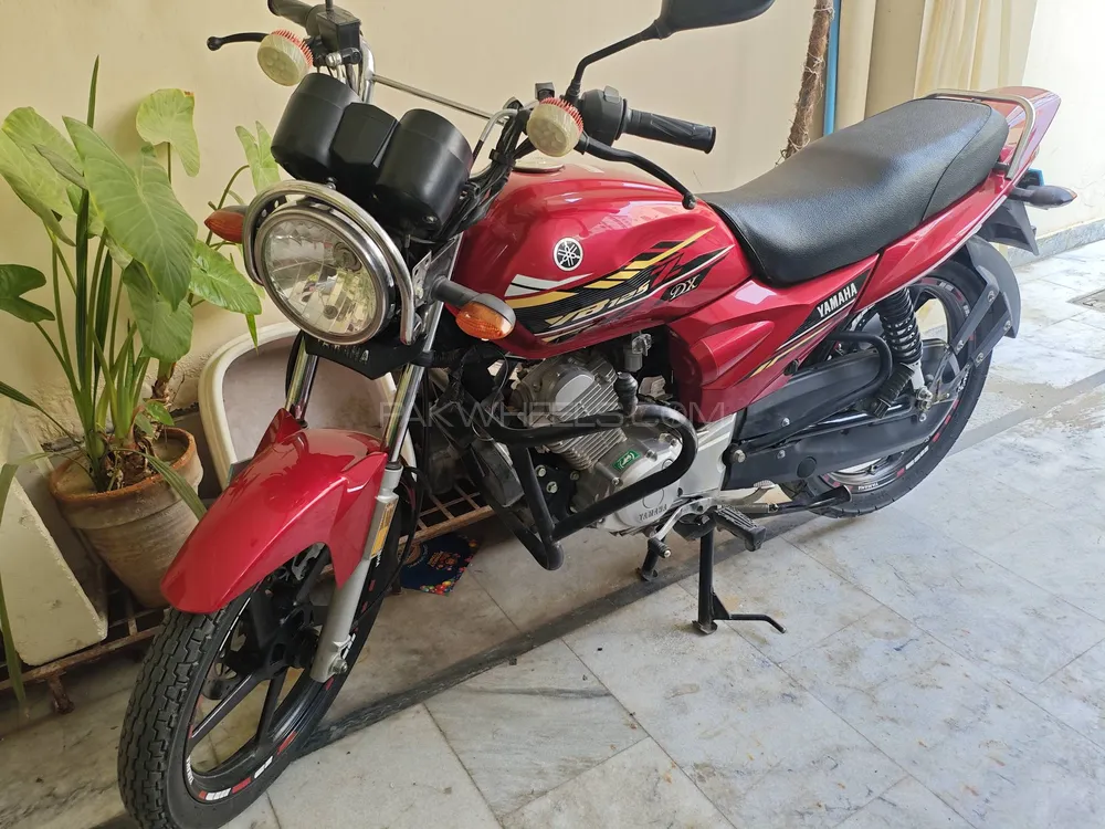 Yamaha YB 125Z-DX 2021 for Sale Image-1