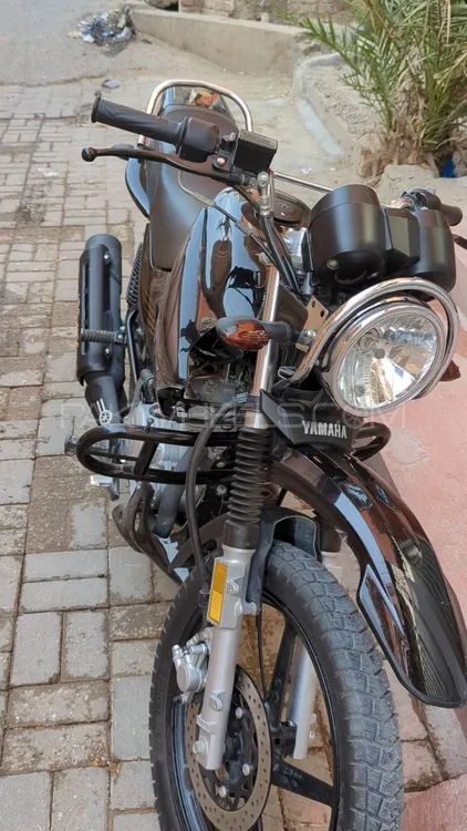 Yamaha YBR 125 2025 for Sale Image-1