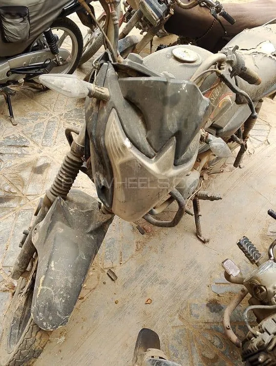 Super Power SP 110 Cheetah 2019 for Sale Image-1
