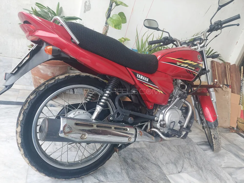 Yamaha YB 125Z  2021 for Sale Image-1