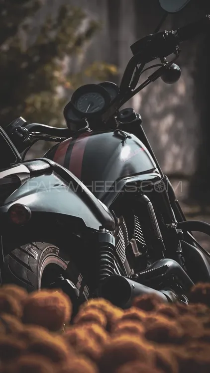 Harley Davidson Night Rod Special 2015 for Sale Image-1