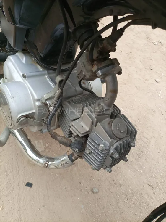 Honda CD 70 2023 for Sale Image-1
