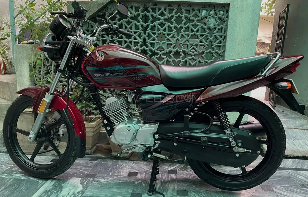 Yamaha YB 125Z-DX 2023 for Sale Image-1