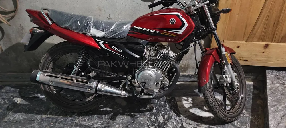 Yamaha YB 125Z-DX 2025 for Sale Image-1