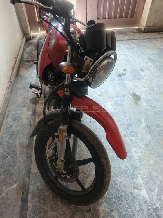 Yamaha YBR 125 2019 for Sale Image-1