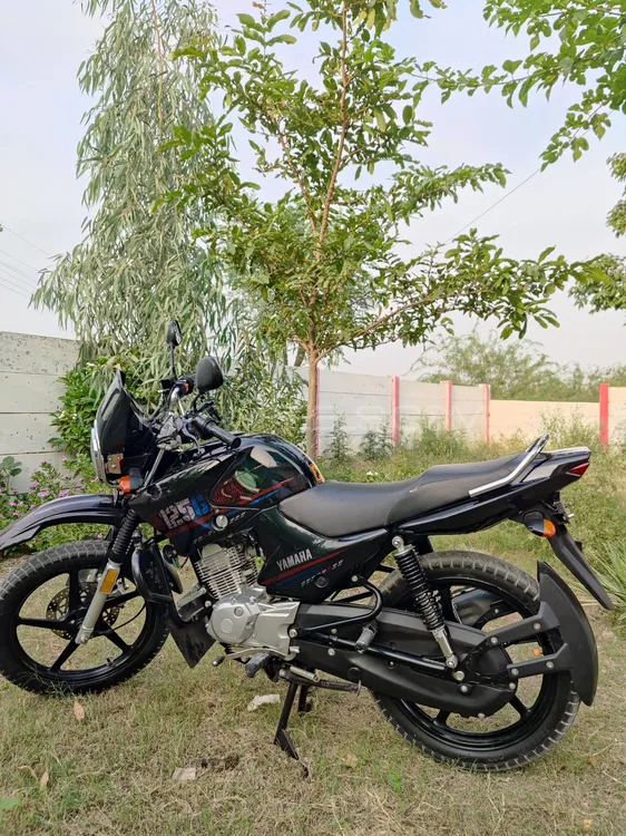 Yamaha YBR 125 2022 for Sale Image-1