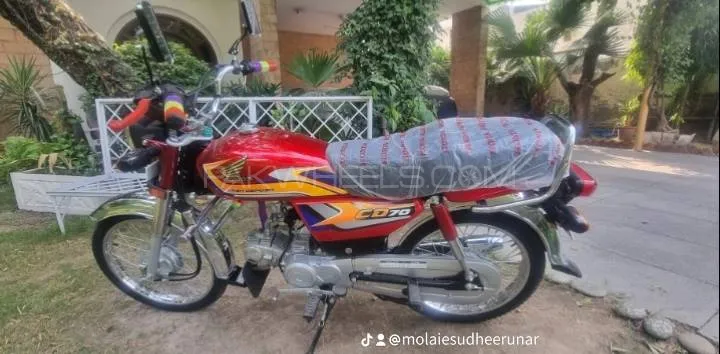 Honda CD 70 2024 for Sale Image-1