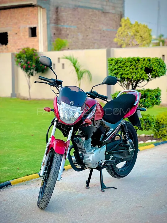 Yamaha YBR 125 2024 for Sale Image-1