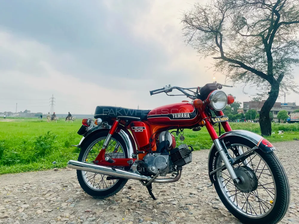 DYL YB 100  1974 for Sale Image-1
