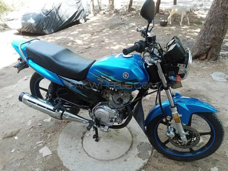 Yamaha YB 125Z-DX 2022 for Sale Image-1