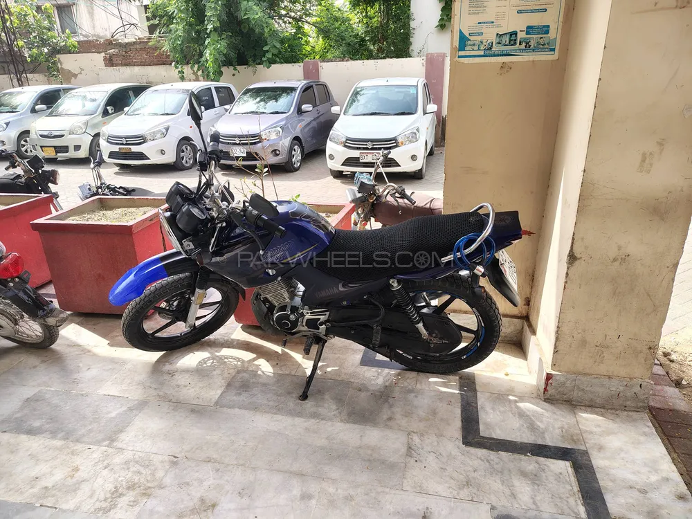 Yamaha YBR 125G 2022 for Sale Image-1