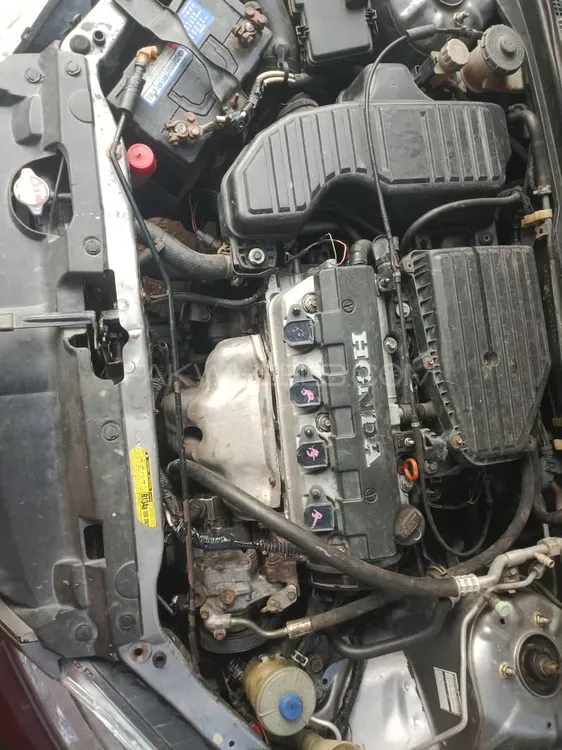 Honda Civic 2004 for Sale in Kasur Image-1