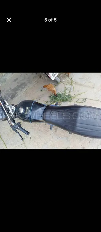 Unique Xtreme UD 70 2022 for Sale Image-1