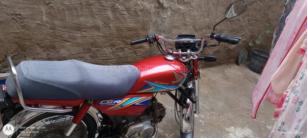 Honda CD 70 2019 for Sale Image-1