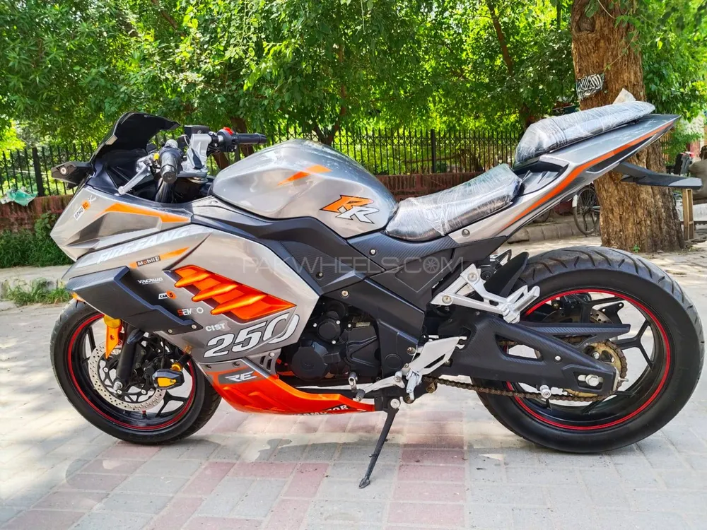 Kawasaki Ninja 250R 2025 for Sale Image-1
