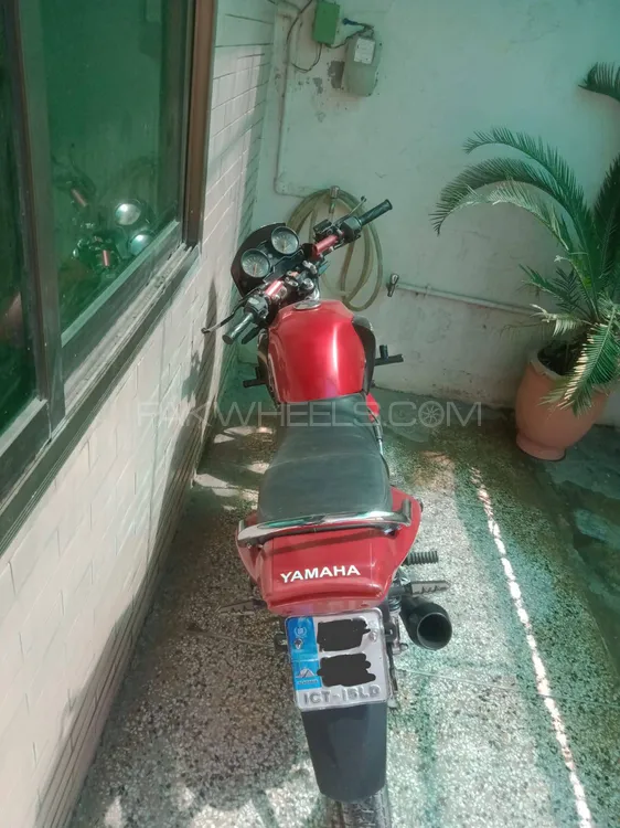 Yamaha YBR 125 2019 for Sale Image-1