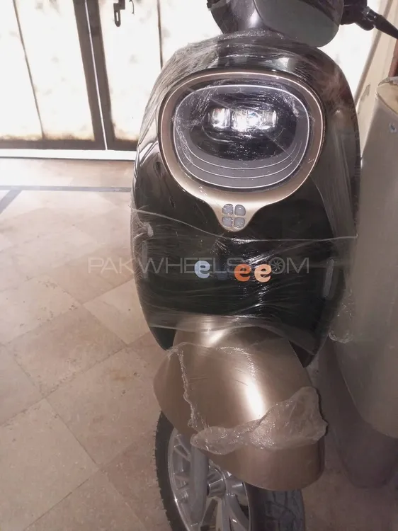 Evee Nisa 2025 for Sale Image-1