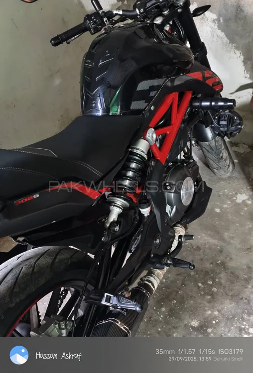 بنیلی 302S 2023 for Sale Image-1