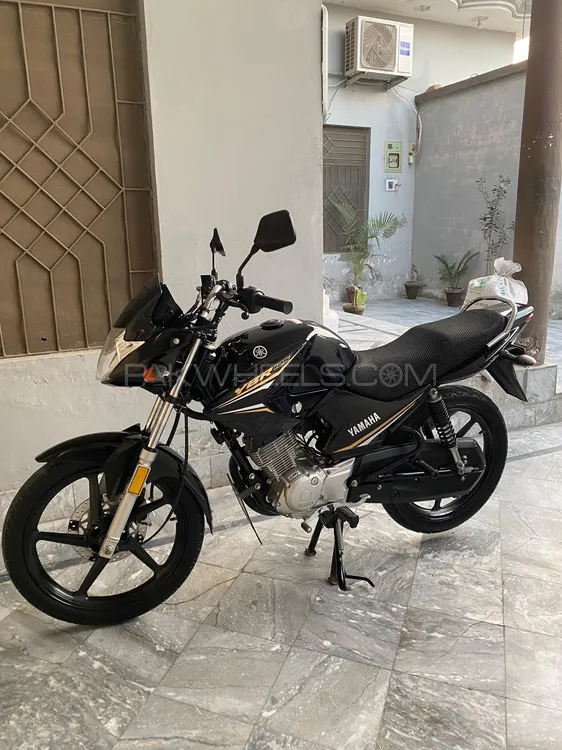 Yamaha YBR 125 2024 for Sale Image-1