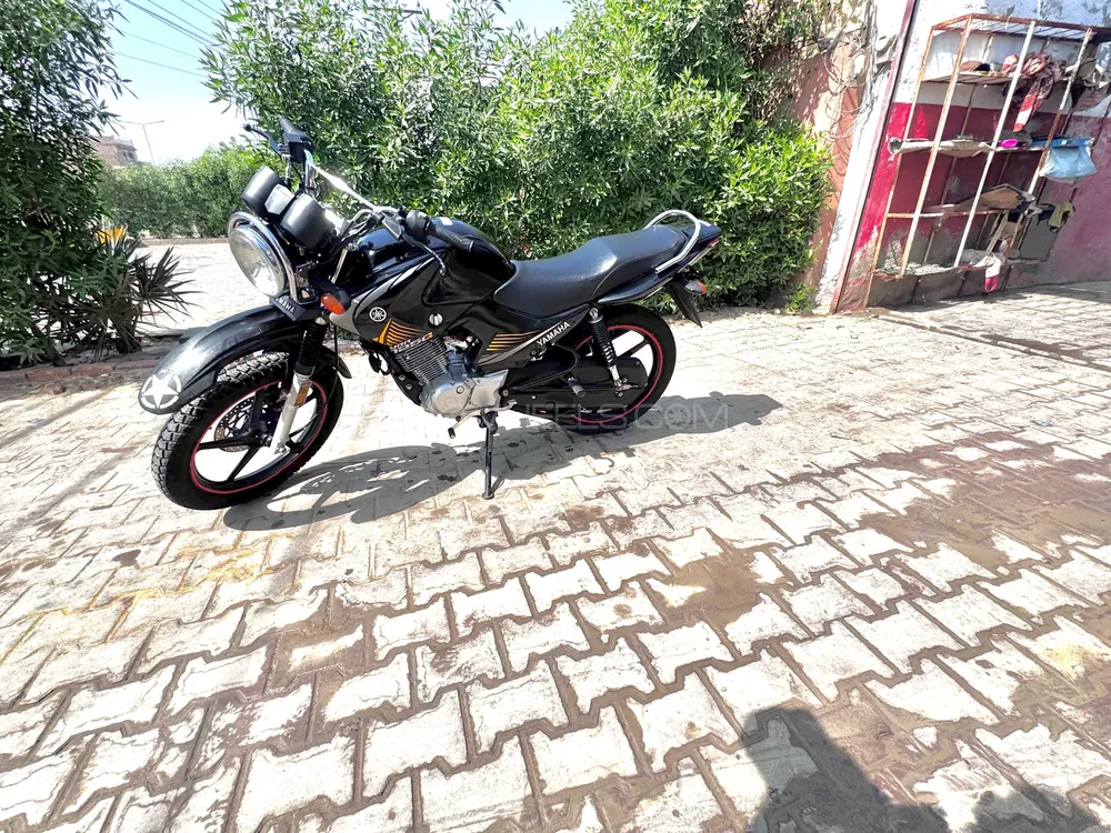 Yamaha YBR 125 2024 for Sale Image-1