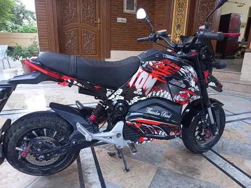 Chinese Bikes Other 2024