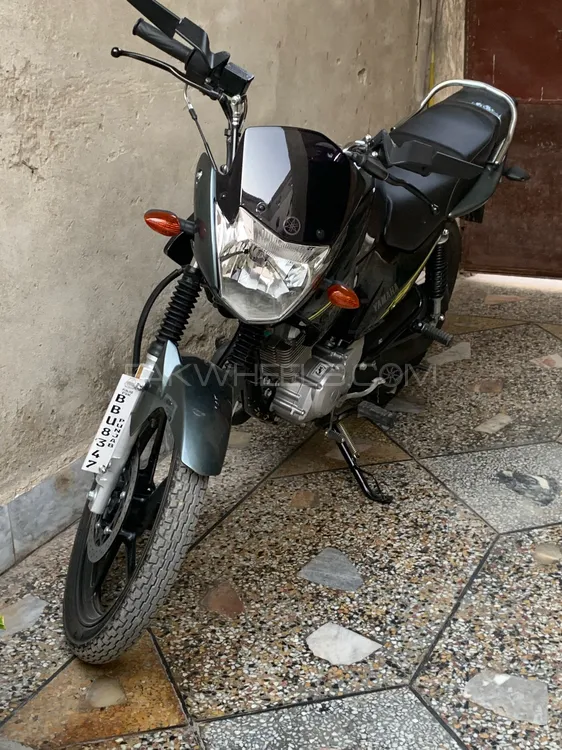 Yamaha YBR 125 2025 for Sale Image-1