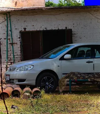 Toyota Corolla XLi 2006