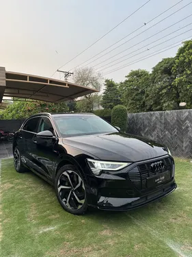 Audi e-tron 50 quattro 230 kW 2021
