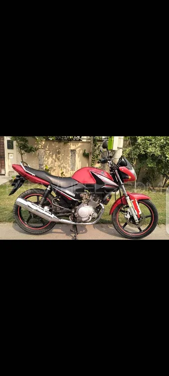 Yamaha YBR 125 2020 for Sale Yamaha YBR 125 2020 for Sale Image-3