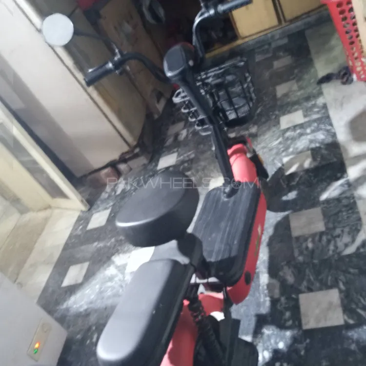 Evee Flipper 2024 for Sale Image-1