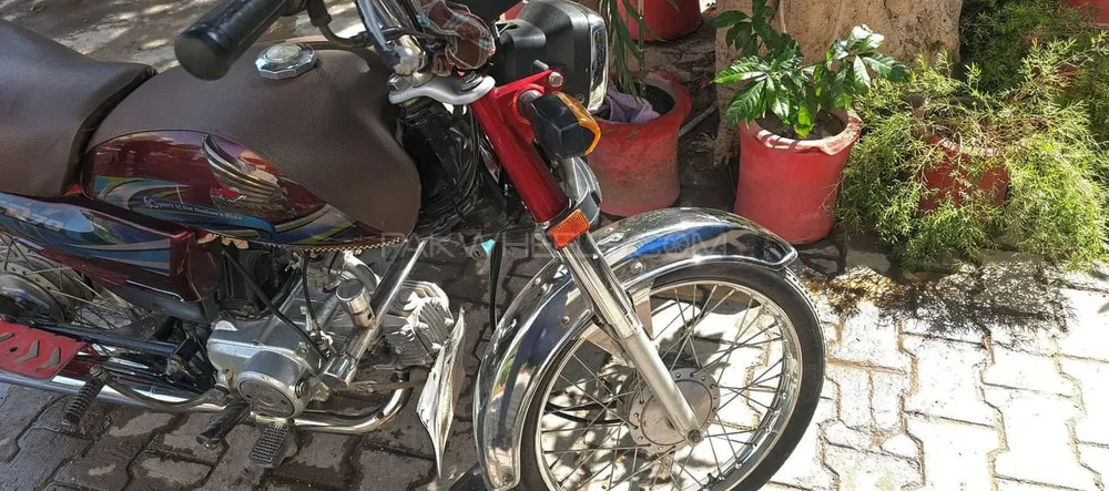 Honda CD 70 2023 for Sale Image-1