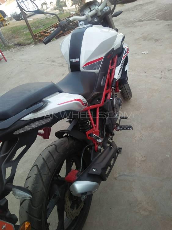 Benelli Other 2019 for Sale Benelli Other 2019 for Sale Image-4
