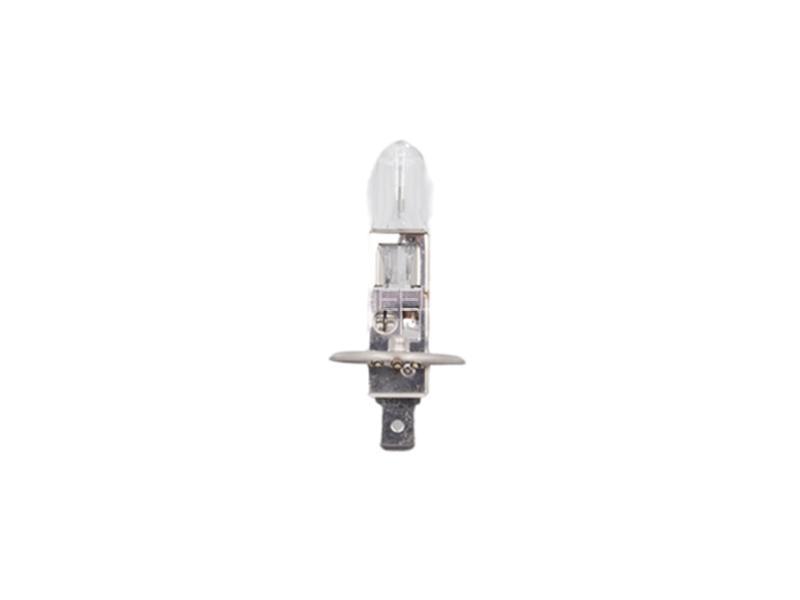 H1 Halogen Bulb 24v 100w Clear for sale in Lahore Image-1