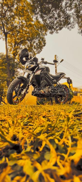 Benelli 180S - 2021  Image-1