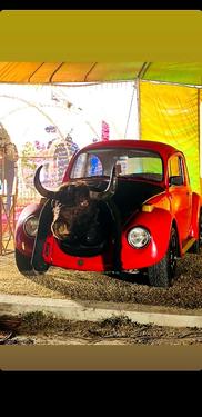 Volkswagen Beetle - 1973