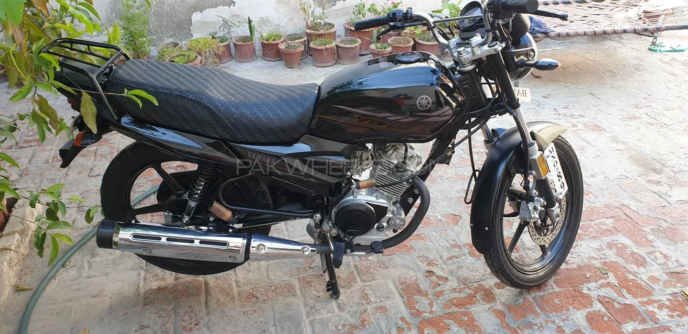 Yamaha YB 125Z-DX 2020 for Sale Image-1