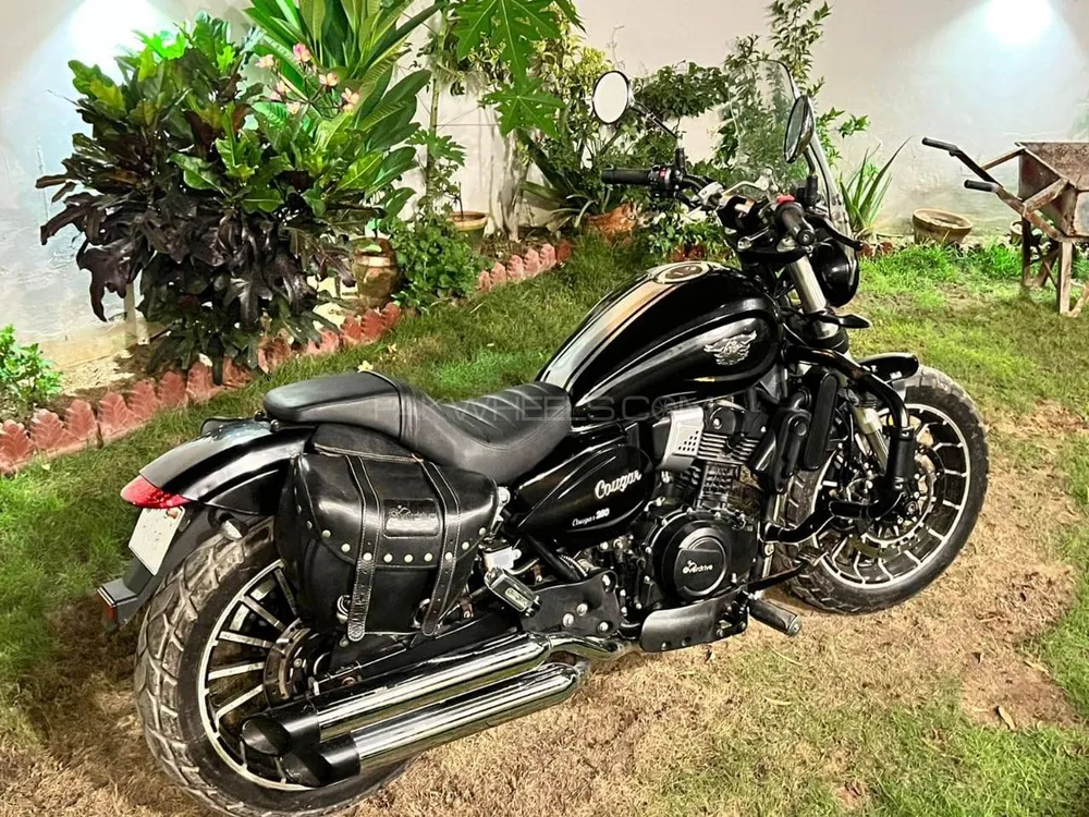 OVERDRIVE COUGAR 2018 for Sale Image-1