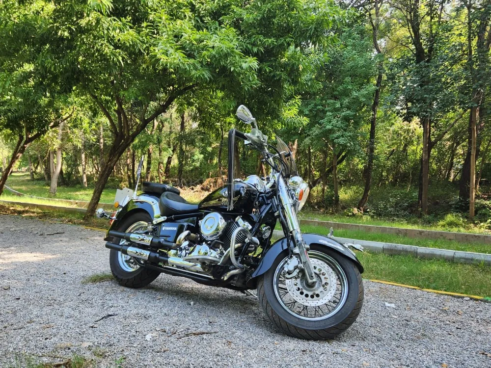 Yamaha V Star Classic 2014 for Sale Image-1
