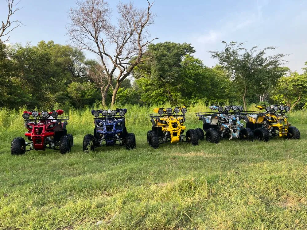 NPTC Jeep 125CC 2023 for Sale Image-1