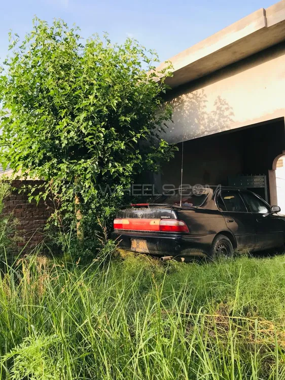 Toyota Corolla 1995 for Sale in Jalalpur Jattan Image-1