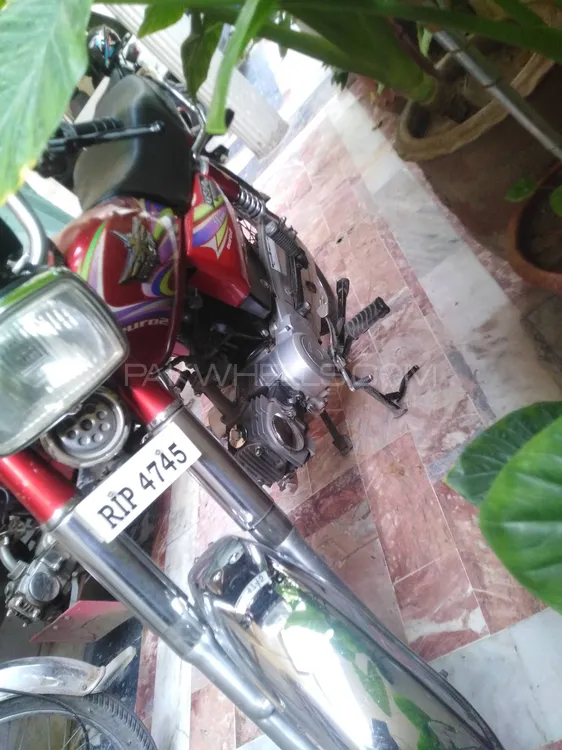 Union Star US 70cc 2019 for Sale Image-1