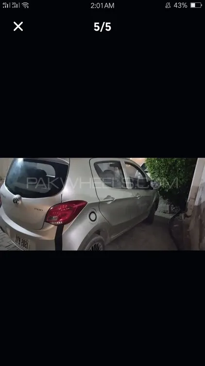 پرنس پرل 2021 for Sale in سکھر Image-1