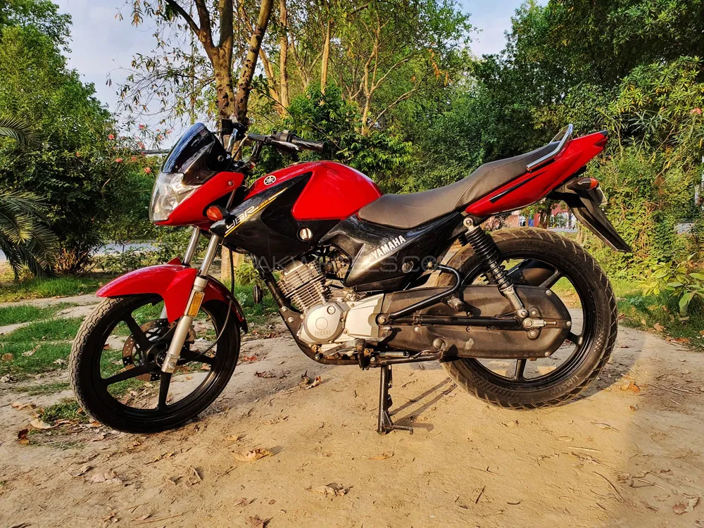 Yamaha YBR 125 2019 for Sale Image-1