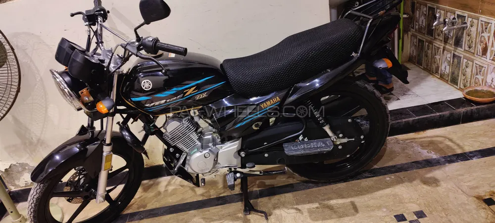 Yamaha YB 125Z-DX 2023 for Sale Image-1