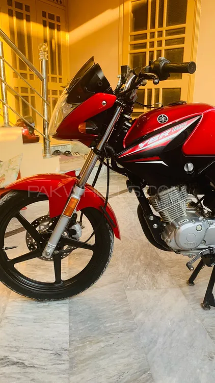 Yamaha YBR 125 2022 for Sale Image-1