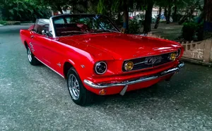 Ford Mustang 1966 for Sale